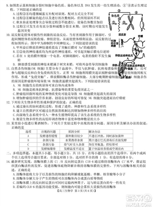 金科大联考2024届高三上学期1月质量检测生物参考答案 金科大联考2024届高三上学期1月质量检测生物参考答案