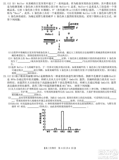 金科大联考2024届高三上学期1月质量检测生物参考答案 金科大联考2024届高三上学期1月质量检测生物参考答案