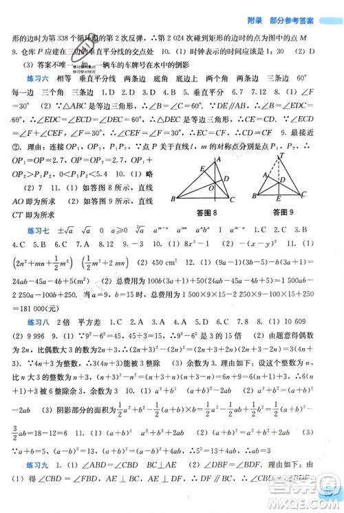 广西教育出版社2024新课程寒假作业八年级数学通用版参考答案