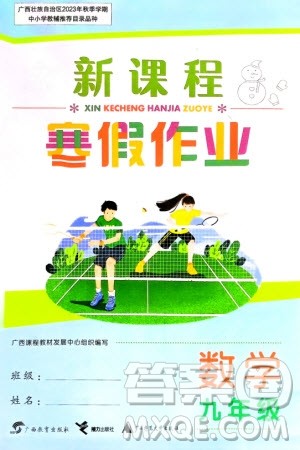 广西教育出版社2024新课程寒假作业九年级数学通用版参考答案