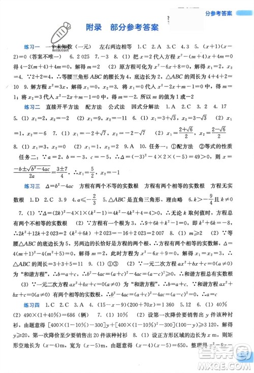 广西教育出版社2024新课程寒假作业九年级数学通用版参考答案