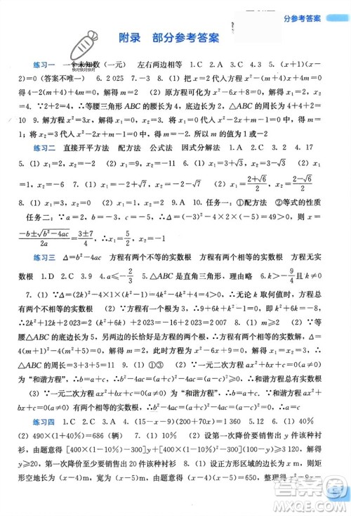 广西教育出版社2024新课程寒假作业九年级数学通用版参考答案