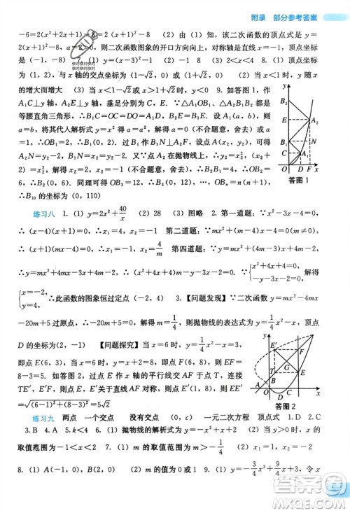 广西教育出版社2024新课程寒假作业九年级数学通用版参考答案