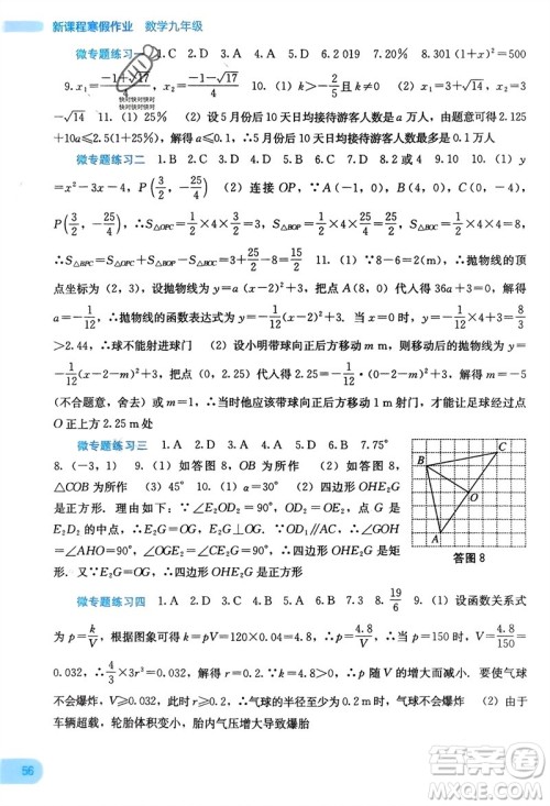 广西教育出版社2024新课程寒假作业九年级数学通用版参考答案