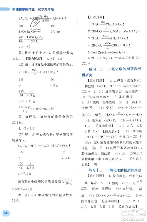 广西教育出版社2024新课程寒假作业九年级化学通用版参考答案 广西教育出版社2024新课程寒假作业九年级化学通用版参考答案