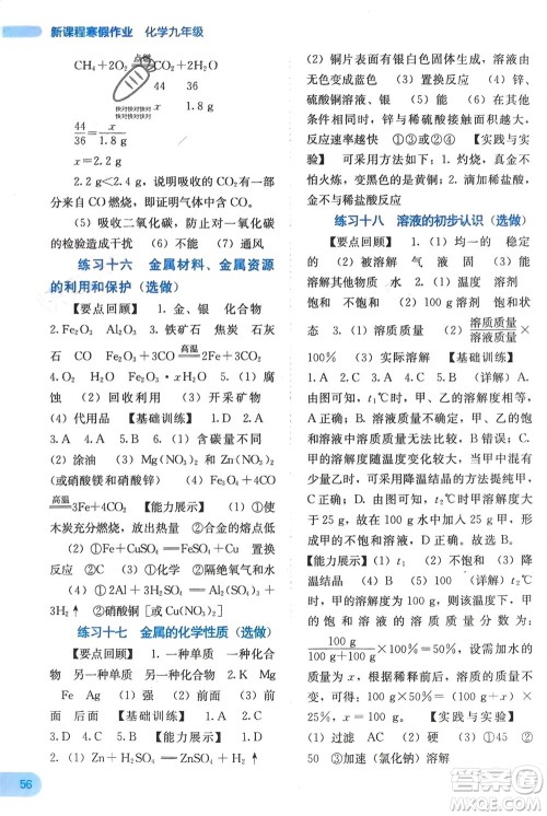 广西教育出版社2024新课程寒假作业九年级化学通用版参考答案 广西教育出版社2024新课程寒假作业九年级化学通用版参考答案