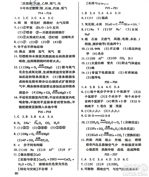 世界图书出版公司2024假期学习乐园寒假作业九年级化学通用版参考答案