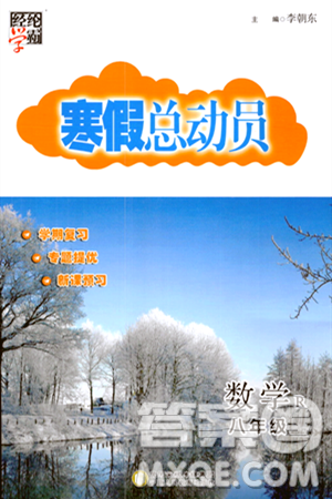 宁夏人民教育出版社2024经纶学霸寒假总动员八年级数学人教版答案