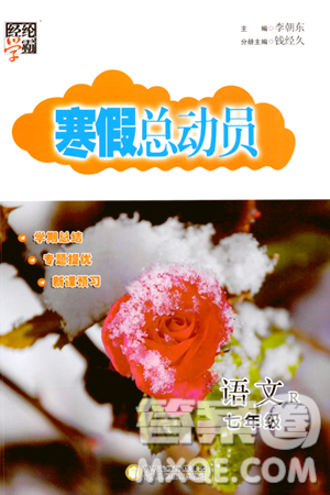 宁夏人民教育出版社2024经纶学霸寒假总动员七年级语文人教版答案 宁夏人民教育出版社2024经纶学霸寒假总动员七年级语文人教版答案