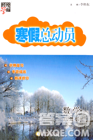 宁夏人民教育出版社2024经纶学霸寒假总动员八年级数学北师大版答案