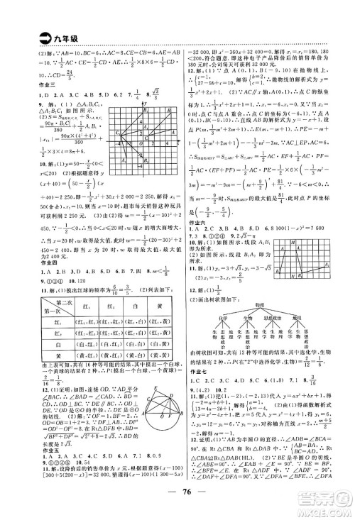 云南美术出版社2024一诺书业本土假期寒假作业九年级合订本通用版答案