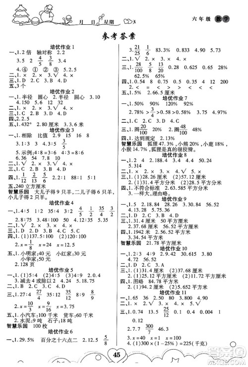 武汉大学出版社2024培优教育寒假作业衔接训练六年级数学课标版答案