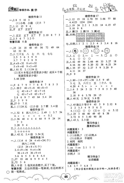 武汉大学出版社2024培优教育寒假作业衔接训练二年级数学课标版答案