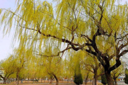 自然万物呈现出不同的美材料作文800字 关于自然万物呈现出不同的美的材料作文800字 自然万物呈现出不同的美材料作文800字 关于自然万物呈现出不同的美的材料作文800字