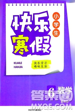 河北少年儿童出版社2024小学生快乐寒假六年级数学冀教版参考答案