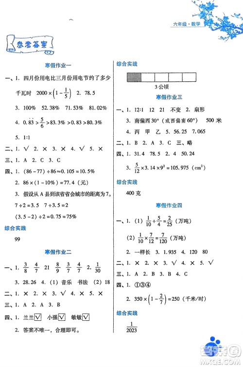 河北少年儿童出版社2024寒假生活六年级数学通用版参考答案