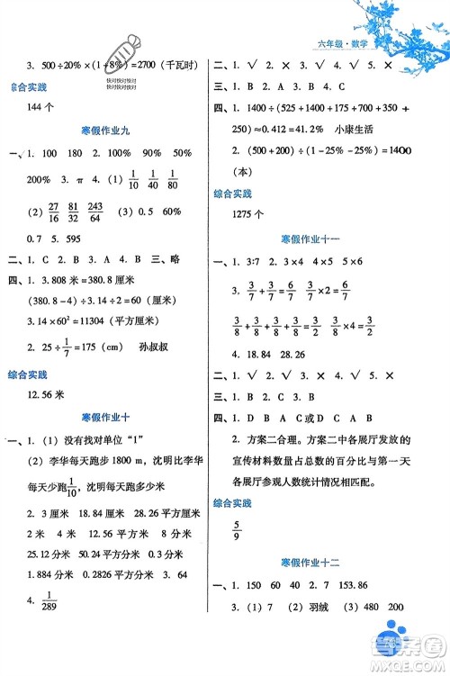 河北少年儿童出版社2024寒假生活六年级数学通用版参考答案