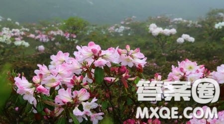 我心中的春天400字五年级作文 关于我心中的春天的400字五年级作文