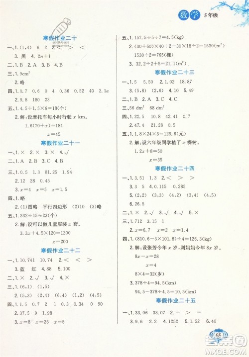 河北美术出版社2024卓远寒假生活五年级数学通用版参考答案