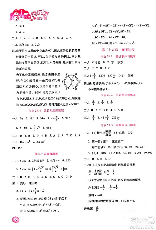 北京教育出版社2024新课标寒假乐园九年级数学课标版答案