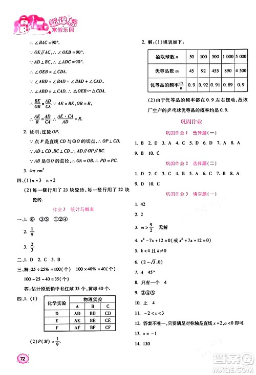 北京教育出版社2024新课标寒假乐园九年级数学课标版答案