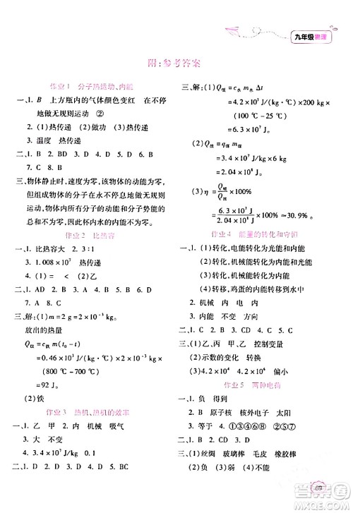 北京教育出版社2024新课标寒假乐园九年级物理课标版答案