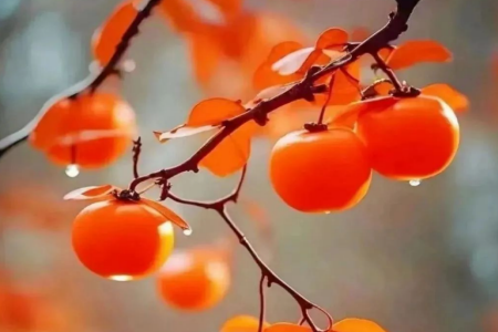 联名跨界混搭材料作文800字 关于联名跨界混搭的材料作文800字 联名跨界混搭材料作文800字 关于联名跨界混搭的材料作文800字