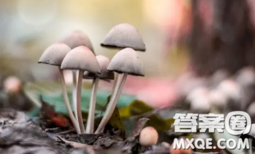 人生活在自然之中材料作文800字 关于人生活在自然之中的材料作文800字 人生活在自然之中材料作文800字 关于人生活在自然之中的材料作文800字