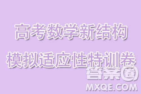 2024年高考数学新结构模拟适应性特训卷二答案