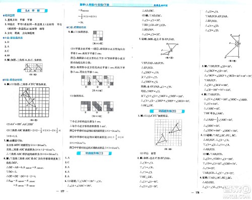 安徽教育出版社2024年春新编基础训练七年级数学下册人教版安徽专版答案