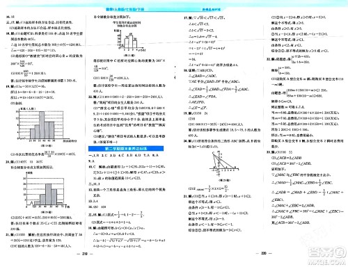 安徽教育出版社2024年春新编基础训练七年级数学下册人教版安徽专版答案