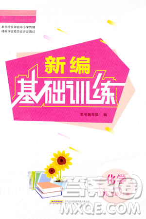 安徽教育出版社2024年春新编基础训练九年级化学下册人教版答案