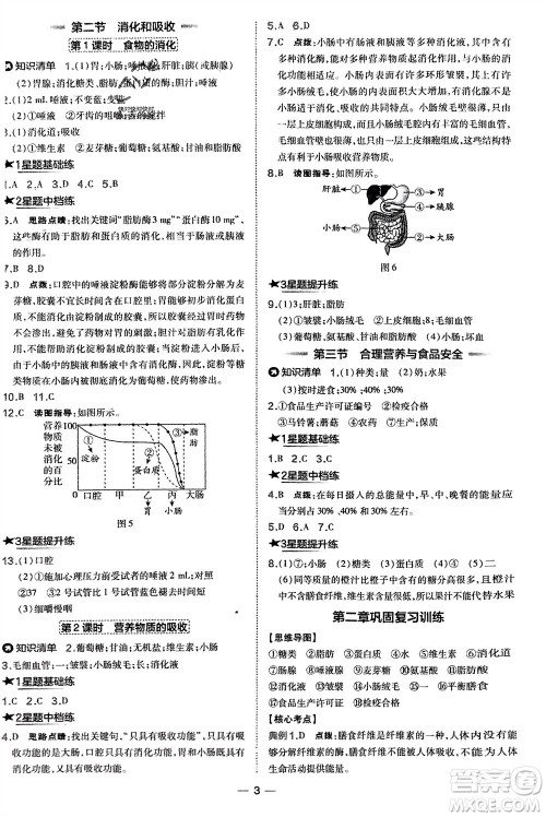 吉林教育出版社2024年春荣德基点拨训练七年级生物下册人教版参考答案