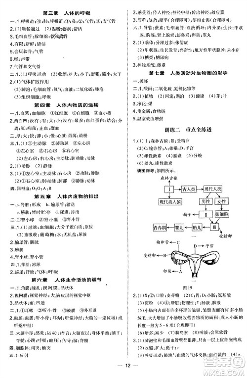 吉林教育出版社2024年春荣德基点拨训练七年级生物下册人教版参考答案