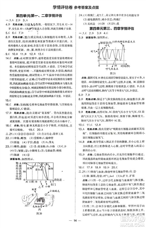 吉林教育出版社2024年春荣德基点拨训练七年级生物下册人教版参考答案