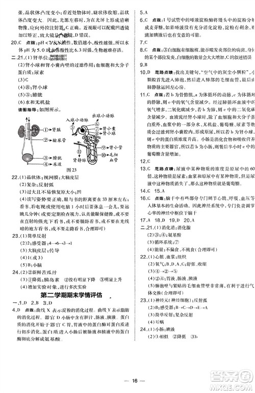 吉林教育出版社2024年春荣德基点拨训练七年级生物下册人教版参考答案