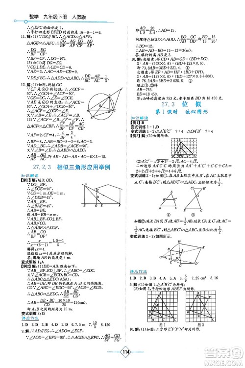 湖南教育出版社2024年春学法大视野九年级数学下册人教版答案