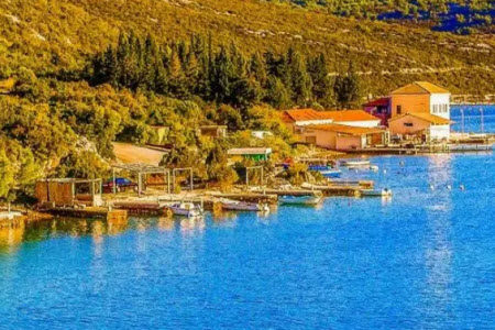 生命的宽度为题议论文作文800字 关于生命的宽度为题目的议论文作文800字 生命的宽度为题议论文作文800字 关于生命的宽度为题目的议论文作文800字