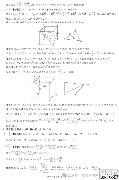 2024届长沙雅礼中学高三月考六数学试卷答案