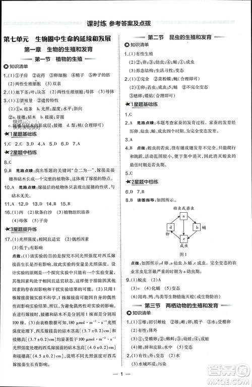 吉林教育出版社2024年春荣德基点拨训练八年级生物下册人教版参考答案