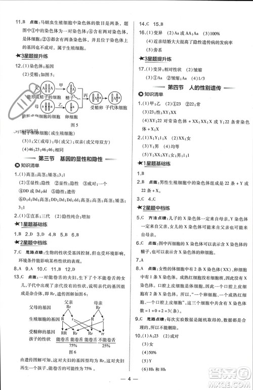 吉林教育出版社2024年春荣德基点拨训练八年级生物下册人教版参考答案