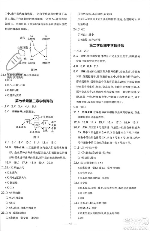 吉林教育出版社2024年春荣德基点拨训练八年级生物下册人教版参考答案