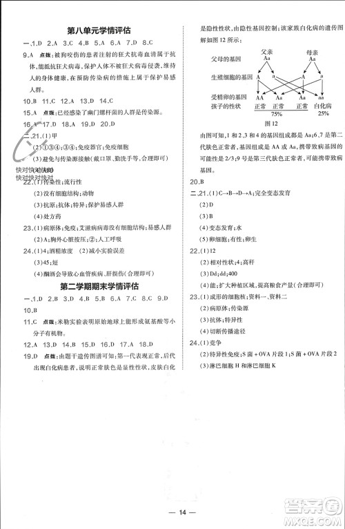 吉林教育出版社2024年春荣德基点拨训练八年级生物下册人教版参考答案