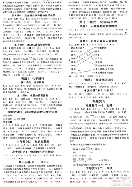 开明出版社2024年春名校课堂九年级化学下册人教版答案