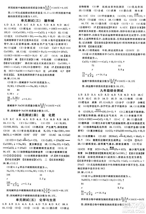 开明出版社2024年春名校课堂九年级化学下册人教版答案 开明出版社2024年春名校课堂九年级化学下册人教版答案