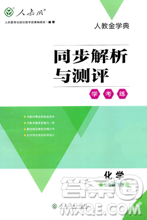 人民教育出版社2024年春人教金学典同步解析与测评学考练九年级化学下册人教版广东专版答案