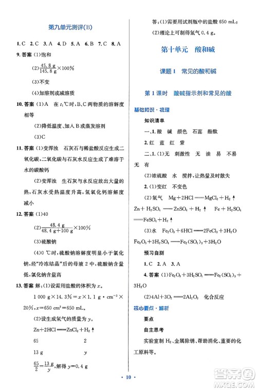 人民教育出版社2024年春人教金学典同步解析与测评学考练九年级化学下册人教版广东专版答案