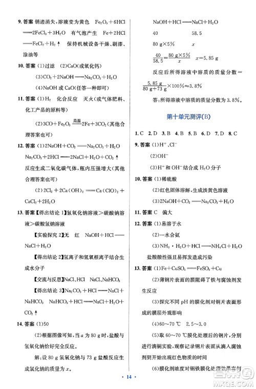 人民教育出版社2024年春人教金学典同步解析与测评学考练九年级化学下册人教版广东专版答案