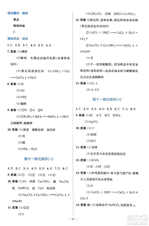 人民教育出版社2024年春人教金学典同步解析与测评学考练九年级化学下册人教版广东专版答案