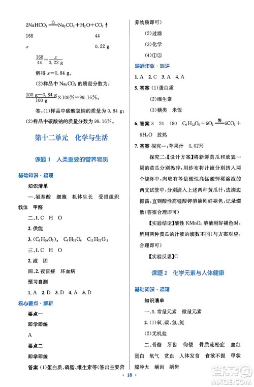 人民教育出版社2024年春人教金学典同步解析与测评学考练九年级化学下册人教版广东专版答案